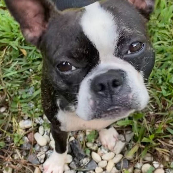 UNLISTED INVENTORY!!💕💎😍🫶 - Picture 3 of 4